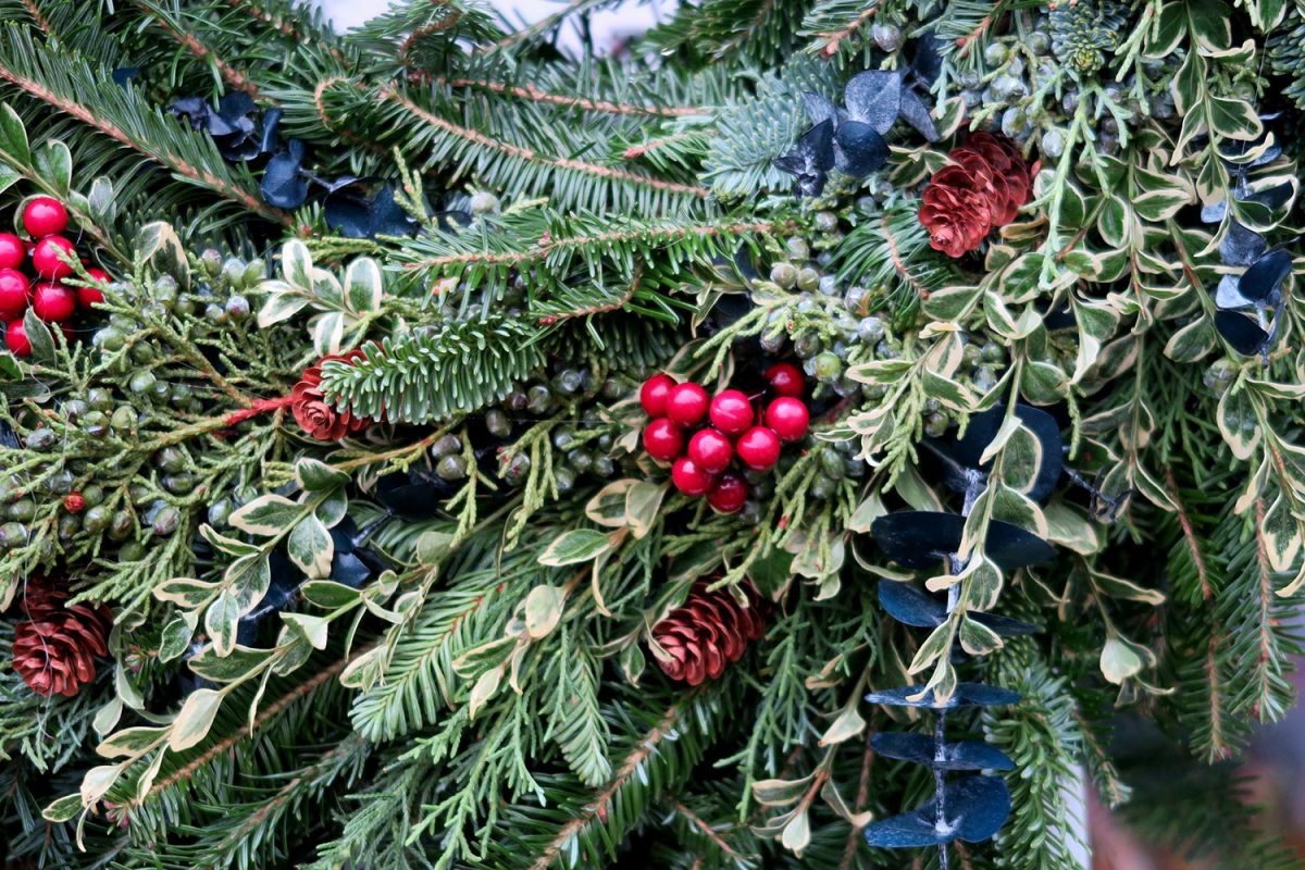 Curious Wreath Ganim's Garden Center Fairfield CT